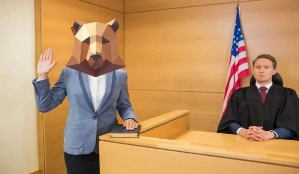 Bear witness to what happens in the court!
