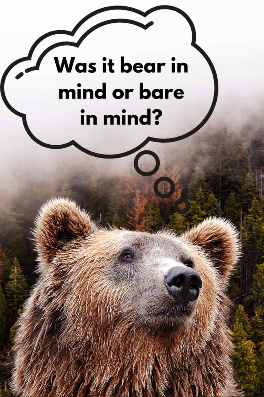 BARE In Mind Vs BEAR In Mind Which One Is Correct 