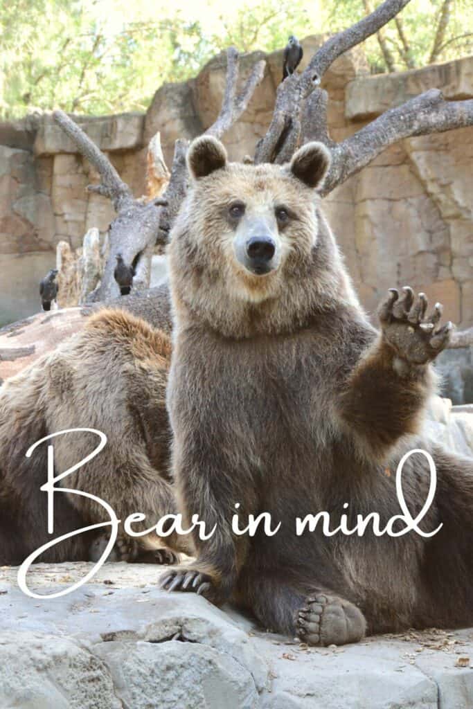 BARE in mind vs. BEAR in mind: Which one is correct?