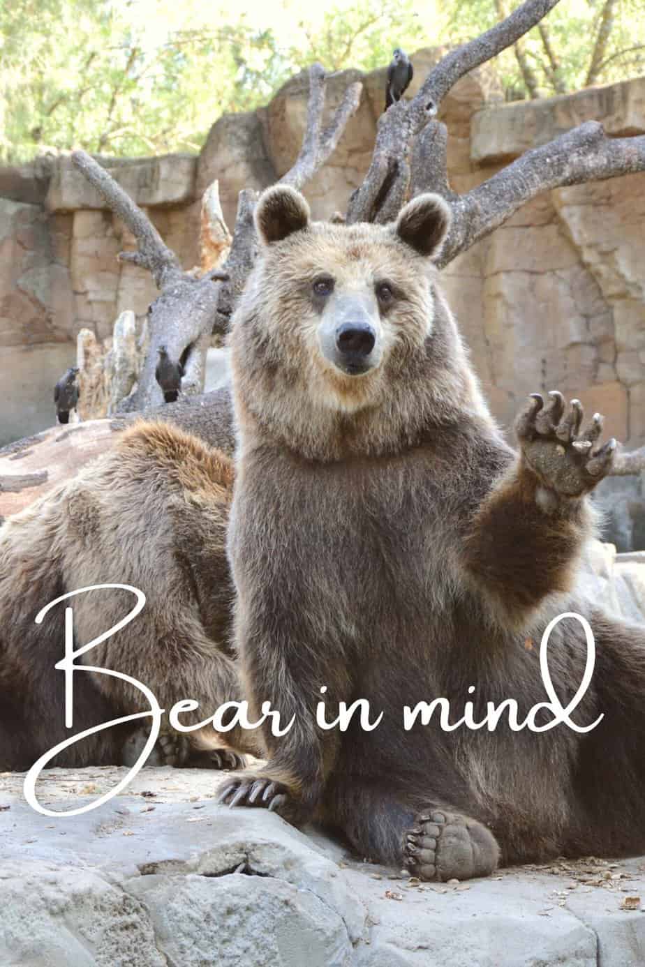 Bear in mind Meaning