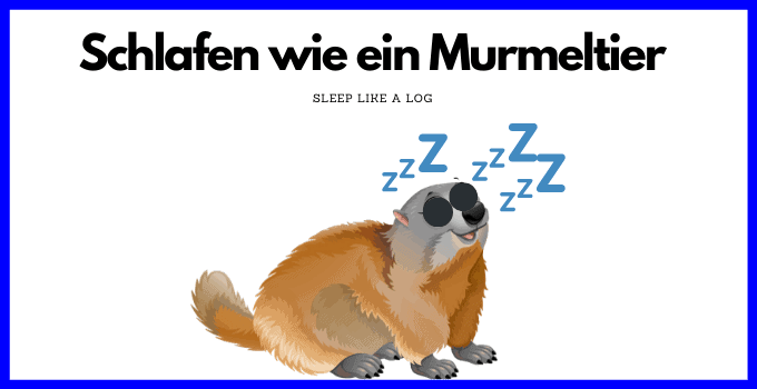 German Sayings Schlafen wie ein Murmeltier