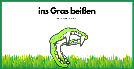 Tausend Dinge Um Ins Gras Zu Beißen The Very Best German Sayings...EVER!