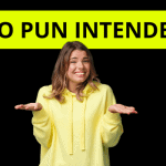 The Meaning of No Pun Intended
