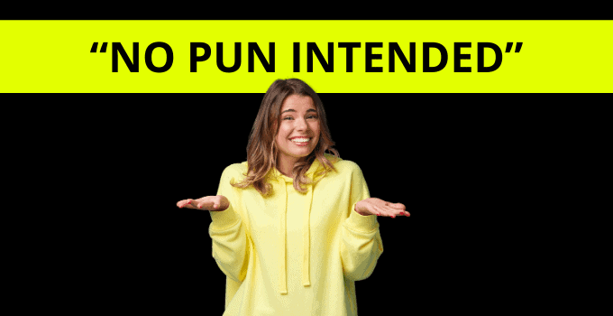  No Pun Intended Meaning Usage Examples