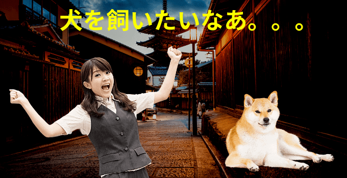 Talking about pets with 飼う (kau)