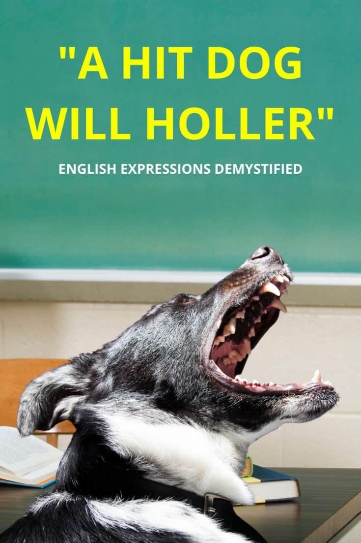 "A hit dog will holler" Here's What It Really Means