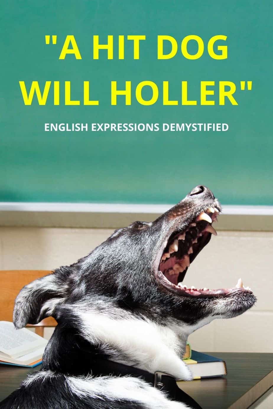 "A Hit Dog Will Holler" Expression Demystified