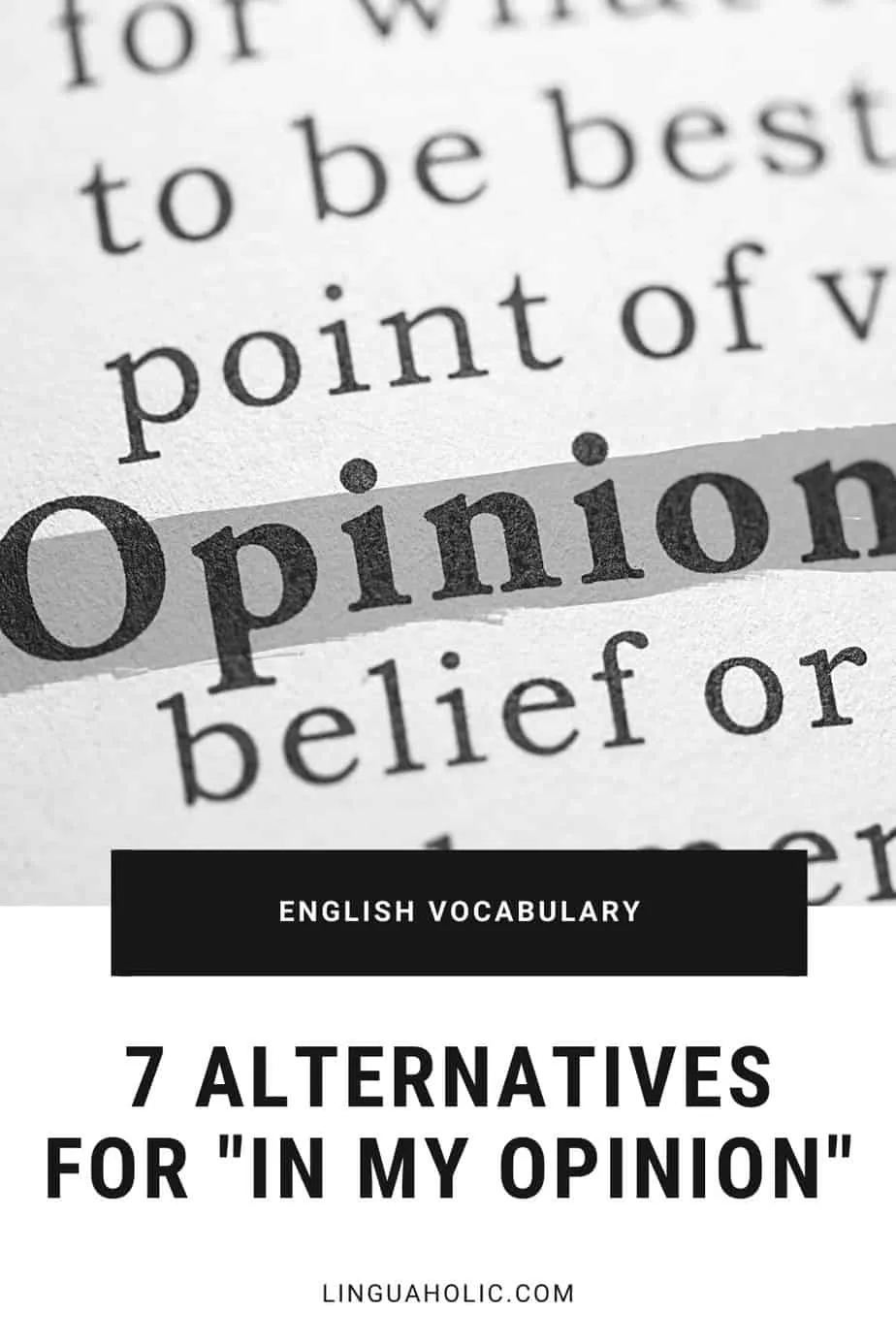 7 Alternatives for "in my opinion"