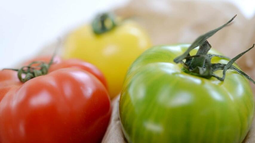 Variedad de tomates