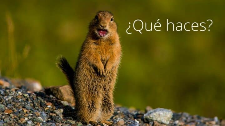 The Meaning of “Qué haces” in English — Explained in Detail!
