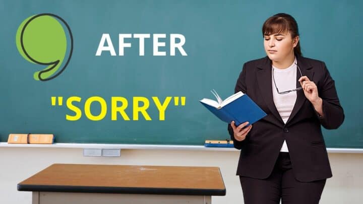 Comma after “sorry” — The Complete Guide