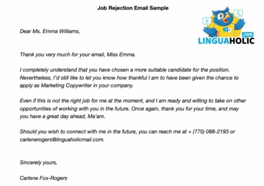 How To Respond To A Job Rejection Email — Step By Step Guide 9324