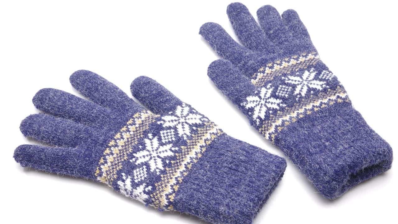 A Pair of Gloves