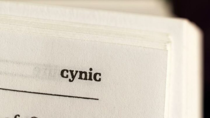 How to Use “Cynic” in a Sentence