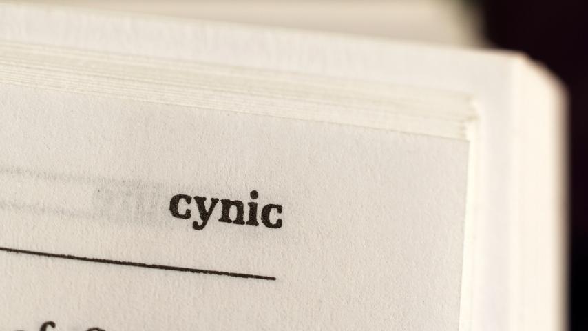 how-to-use-cynic-in-a-sentence