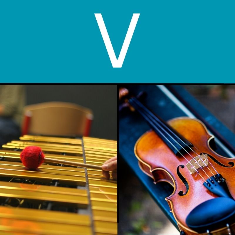 Musical Instruments that Start with V