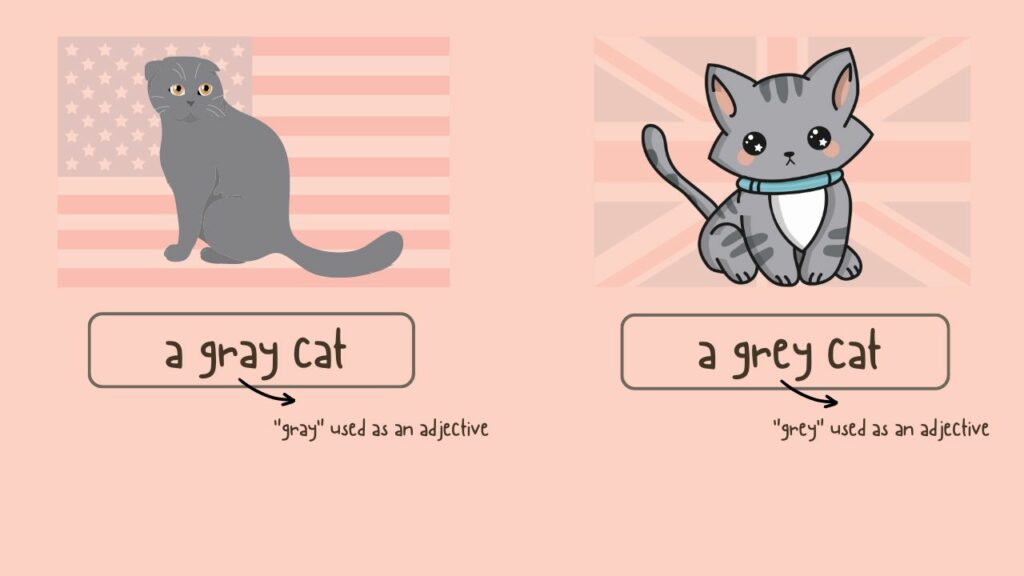 Gray or Grey — Difference, Context & Examples