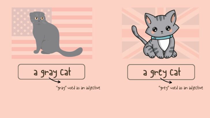 Gray or Grey — Difference, Context & Examples