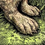 8 Rabbit Idioms to Leap Into Your Lexicon: A Burrow of Wisdom and Whimsy