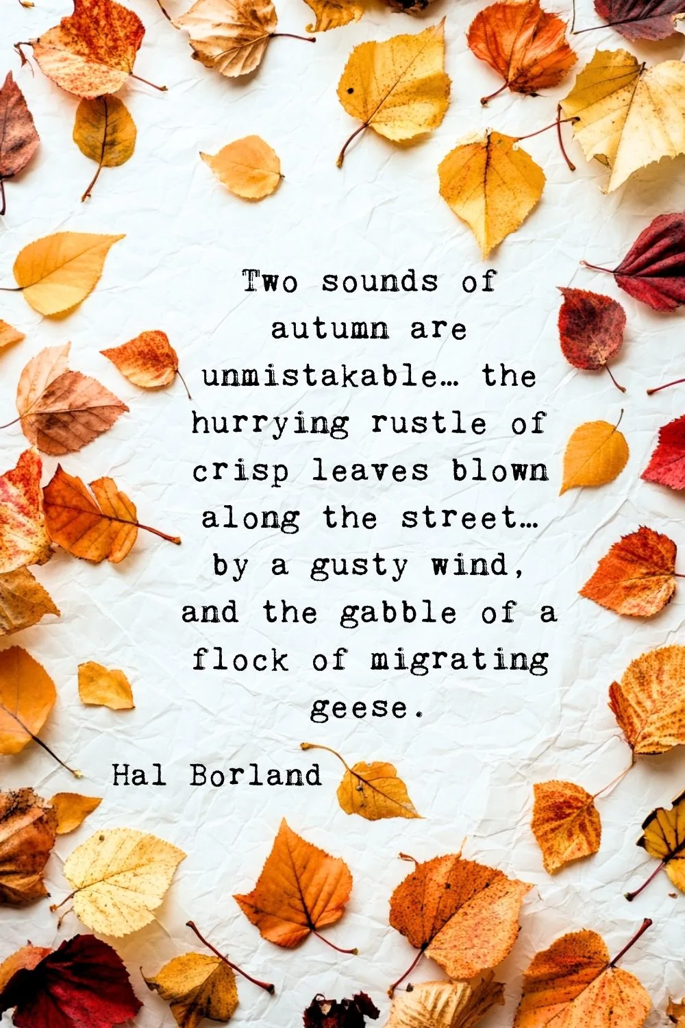 Fall Quotes Borland 1