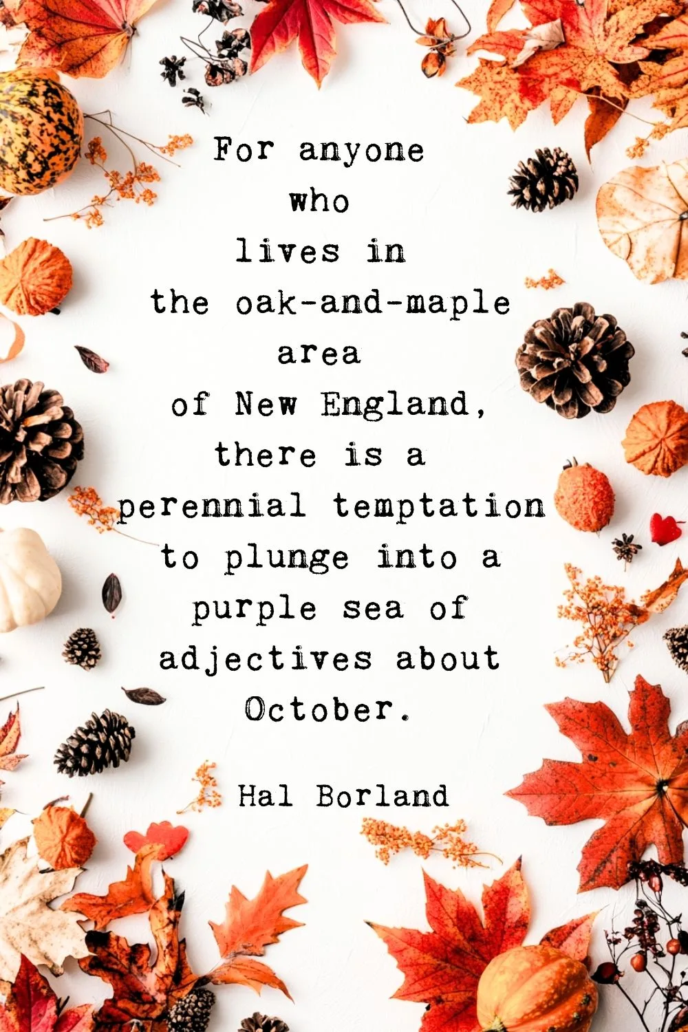 Fall Quotes Borland 2