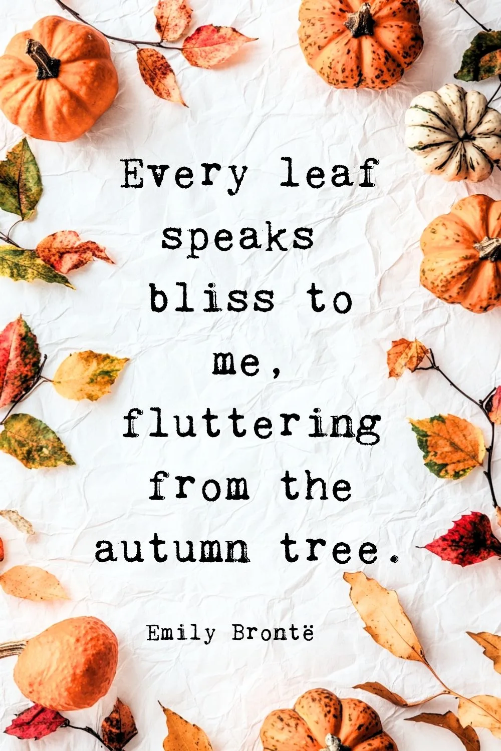 Fall Quotes Bronte