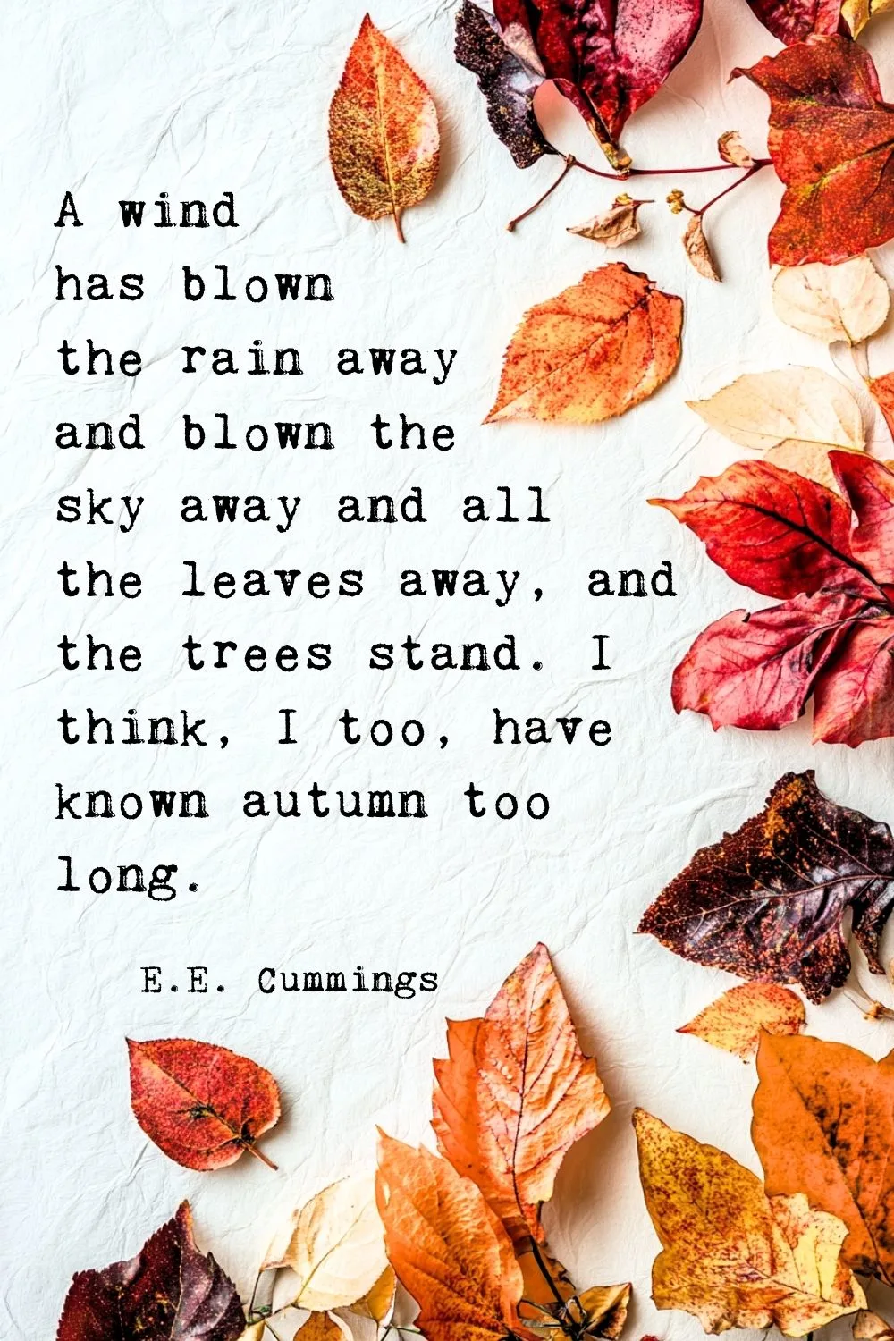 Fall Quotes Cummings