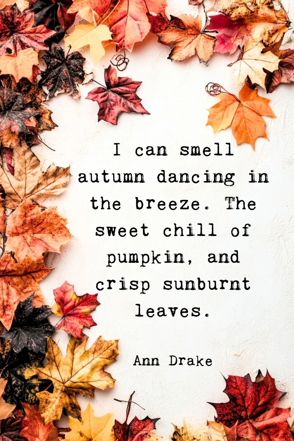 Fall Quotes Drake