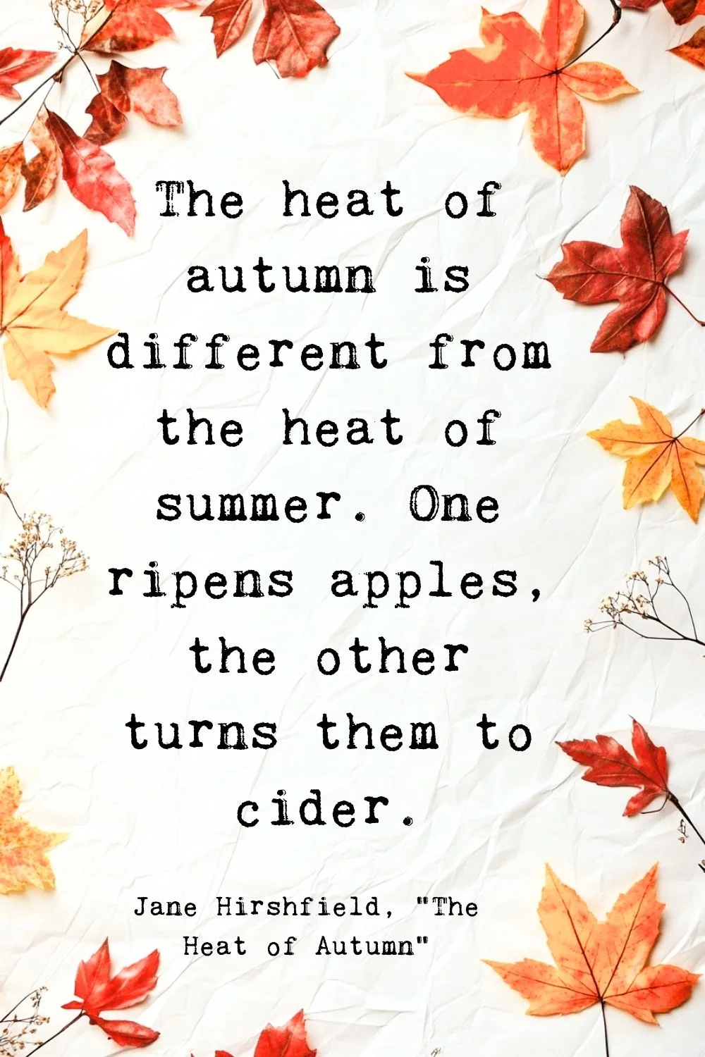 Fall Quotes Hirshfield