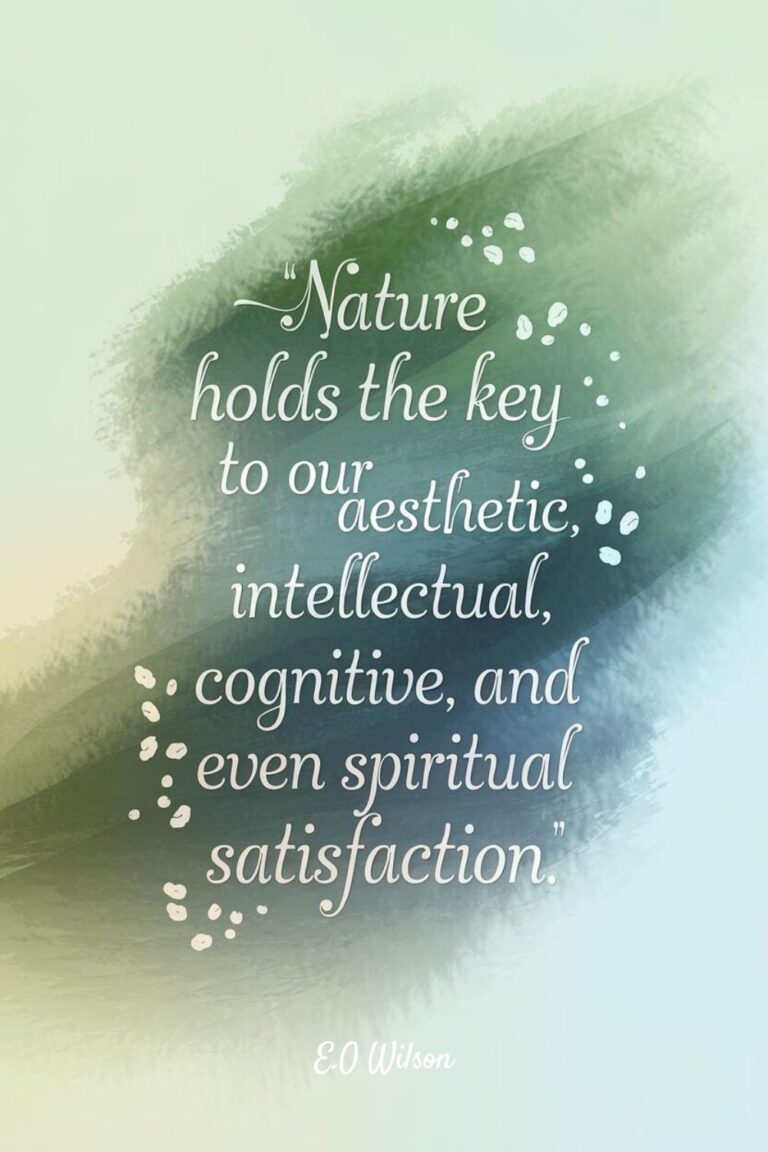 55 Aesthetic Quotes about Life You'll Want to Frame