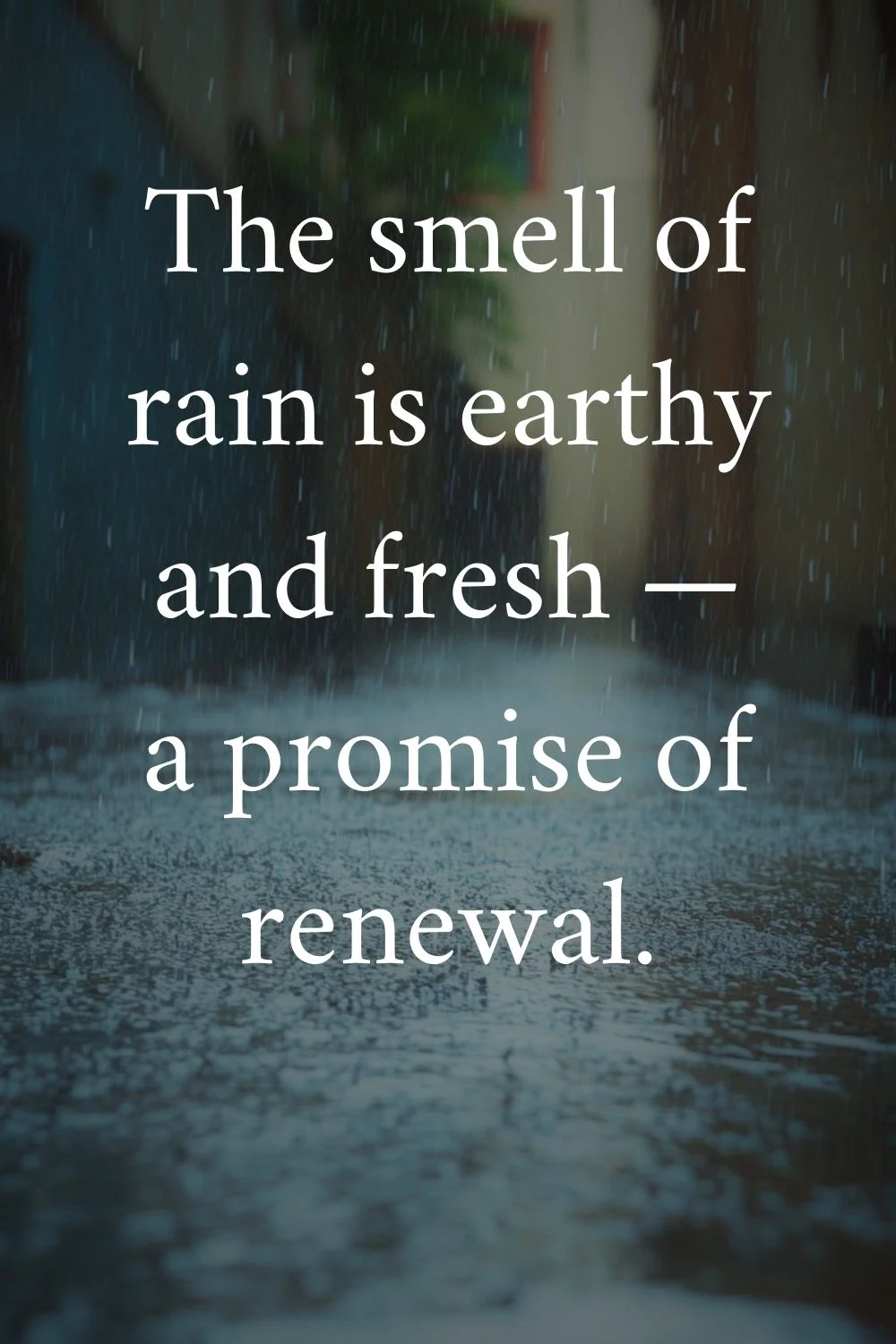 Rain Quotes Unknown 3