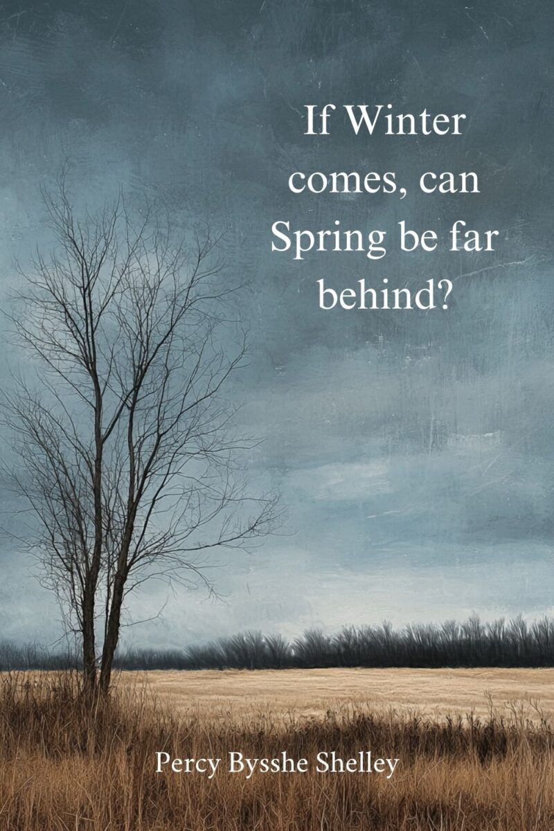 A Cup of Cocoa and 87 Delightful Winter Quotes: The Perfect Recipe for ...