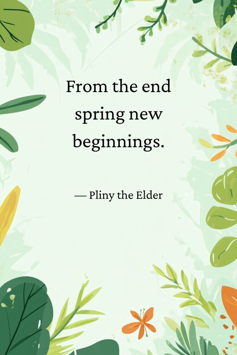 85 Spring Sayings That'll Put a Skip in Your Step