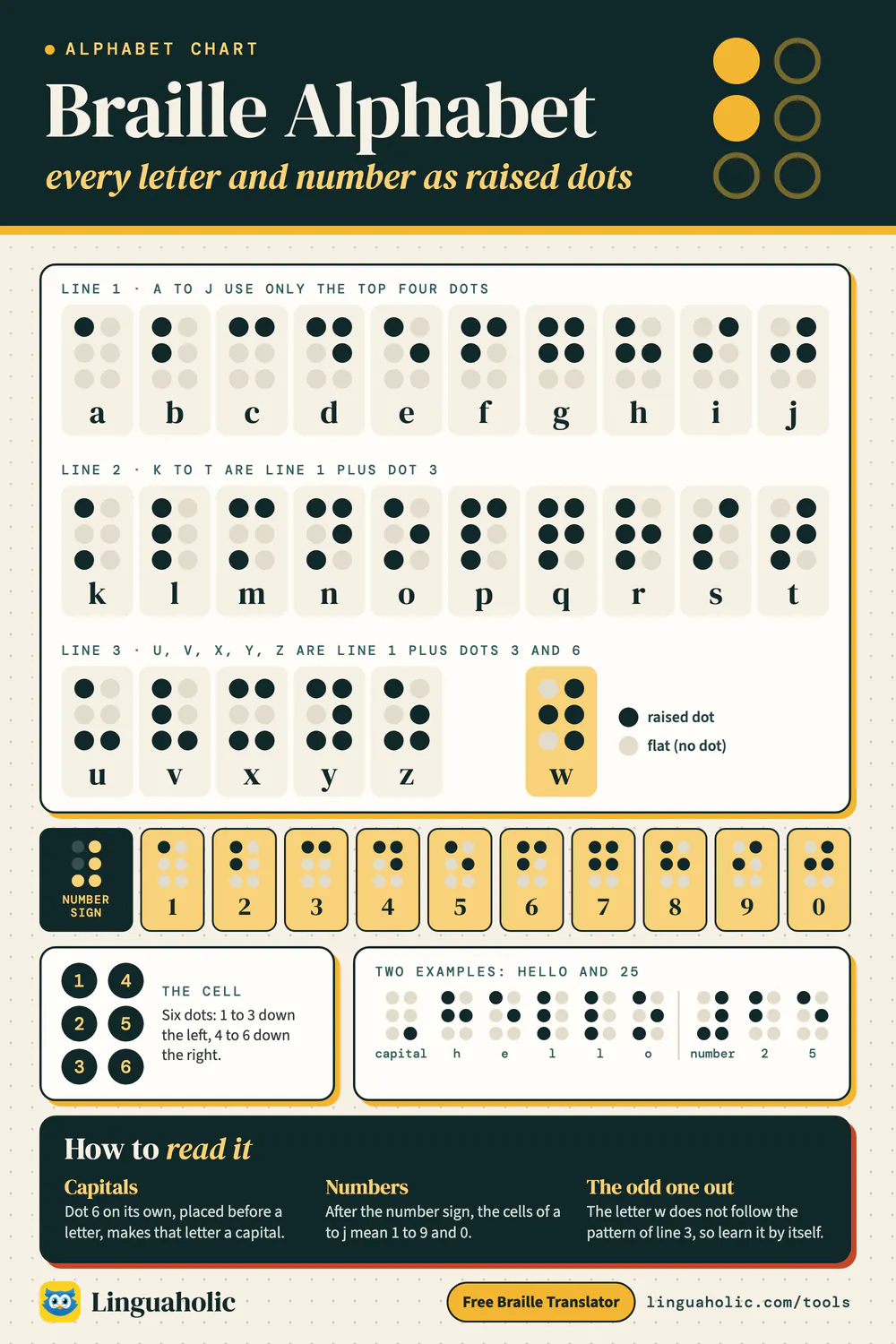 Braille alphabet chart with every letter from a to z and the digits 1 to 0 drawn as raised dots, the numbering of the six dots and how capitals and numbers are marked