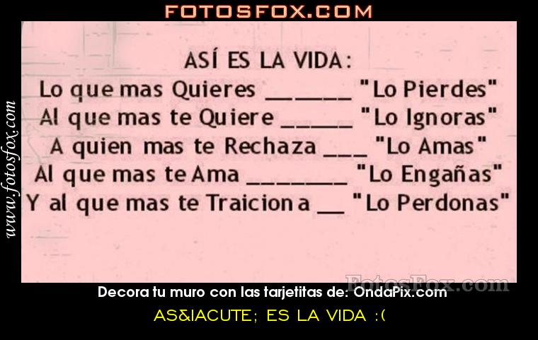 Does Asi Es La Vida Mean Such Is Life Spanish Idioms